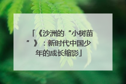 《沙洲的“小树苗”》：新时代中国少年的成长缩影