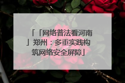 「网络普法看河南」郑州：多重实践构筑网络安全屏障