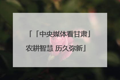 「中央媒体看甘肃」农耕智慧 历久弥新