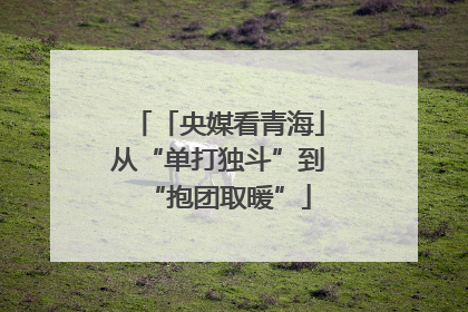 「央媒看青海」从“单打独斗”到“抱团取暖”