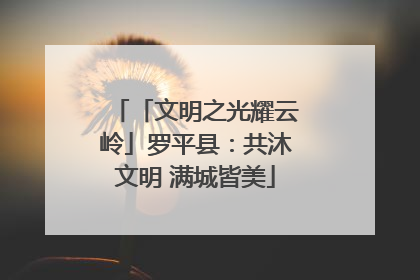 「文明之光耀云岭」罗平县：共沐文明 满城皆美