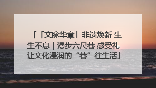 「文脉华章」非遗焕新 生生不息｜漫步六尺巷 感受礼让文化浸润的“巷”往生活