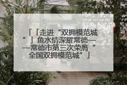 「走进“双拥模范城”」鱼水情深耀常德——常德市第三次荣膺“全国双拥模范城”