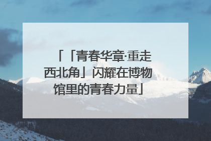「青春华章·重走西北角」闪耀在博物馆里的青春力量