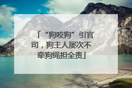 “狗咬狗”引官司，狗主人屡次不牵狗绳担全责