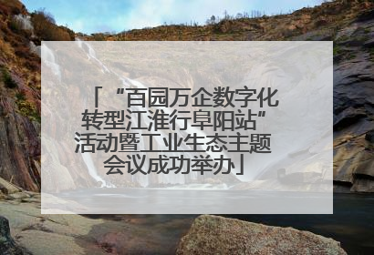 “百园万企数字化转型江淮行阜阳站”活动暨工业生态主题会议成功举办