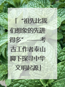 “祖先比我们想象的先进得多”——考古工作者泰山脚下探寻中华文明起源