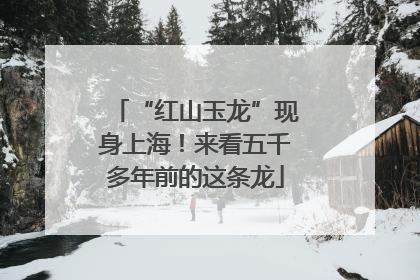 “红山玉龙”现身上海！来看五千多年前的这条龙