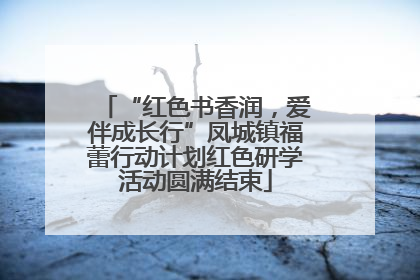 “红色书香润，爱伴成长行”凤城镇福蕾行动计划红色研学活动圆满结束