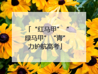 “红马甲”“绿马甲”“青”力护航高考
