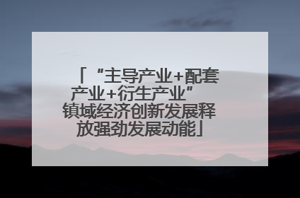 “主导产业+配套产业+衍生产业” 镇域经济创新发展释放强劲发展动能