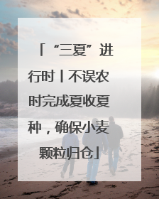 “三夏”进行时丨不误农时完成夏收夏种，确保小麦颗粒归仓