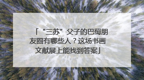 “三苏”父子的巴蜀朋友圈有哪些人？这场书画文献展上能找到答案