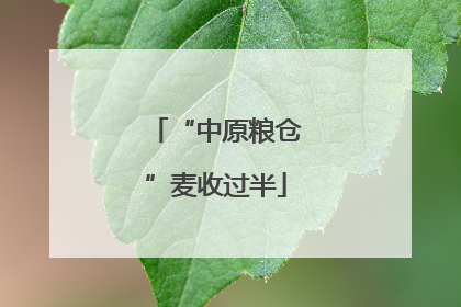 “中原粮仓”麦收过半