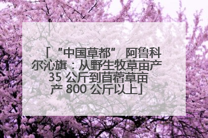 “中国草都” 阿鲁科尔沁旗：从野生牧草亩产 35 公斤到苜蓿草亩产 800 公斤以上