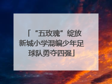 “五玫瑰”绽放 新城小学混编少年足球队勇夺四强