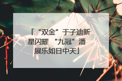 “双金”于子迪新星闪耀 “九冠”潘展乐如日中天