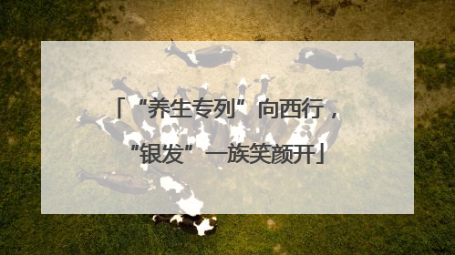 “养生专列”向西行，“银发”一族笑颜开