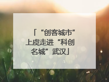 “创客城市”上虞走进“科创名城”武汉