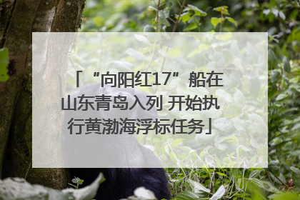 “向阳红17”船在山东青岛入列 开始执行黄渤海浮标任务