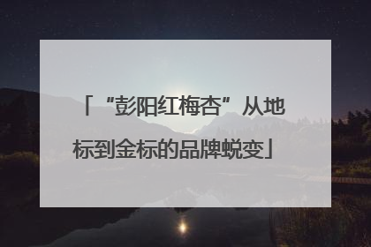“彭阳红梅杏”从地标到金标的品牌蜕变