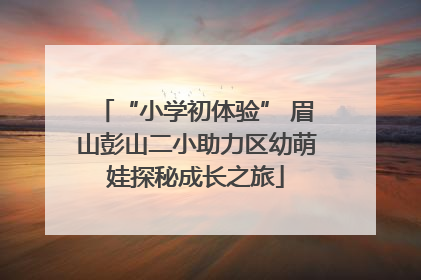 “小学初体验” 眉山彭山二小助力区幼萌娃探秘成长之旅