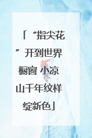 “指尖花”开到世界橱窗 小凉山千年纹样绽新色