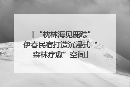“枕林海见鹿踪” 伊春民宿打造沉浸式“森林疗愈”空间