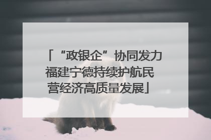 “政银企”协同发力 福建宁德持续护航民营经济高质量发展