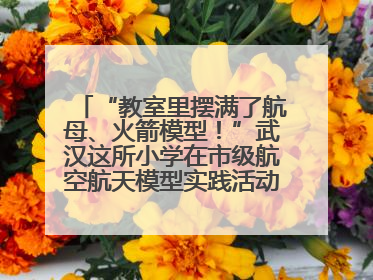 “教室里摆满了航母、火箭模型！”武汉这所小学在市级航空航天模型实践活动中获佳绩