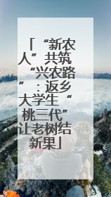 “新农人”共筑“兴农路”：返乡大学生“桃三代”让老树结新果