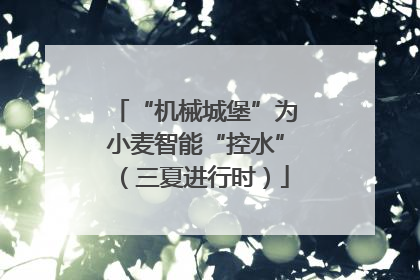 “机械城堡”为小麦智能“控水”（三夏进行时）
