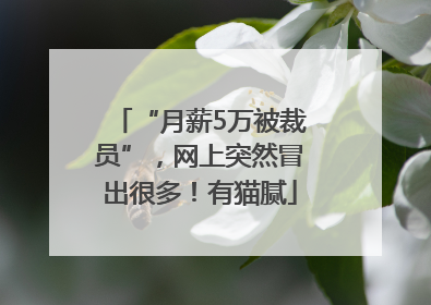 “月薪5万被裁员”，网上突然冒出很多！有猫腻