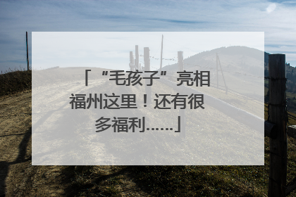 “毛孩子”亮相福州这里！还有很多福利……