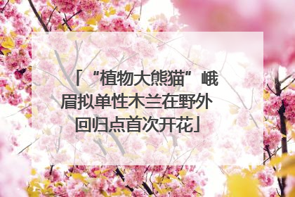 “植物大熊猫”峨眉拟单性木兰在野外回归点首次开花