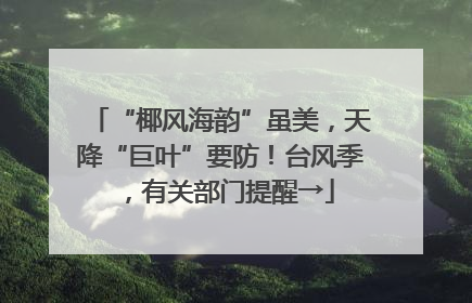 “椰风海韵”虽美，天降“巨叶”要防！台风季，有关部门提醒→