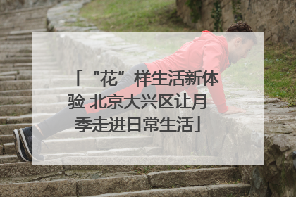 “花”样生活新体验 北京大兴区让月季走进日常生活