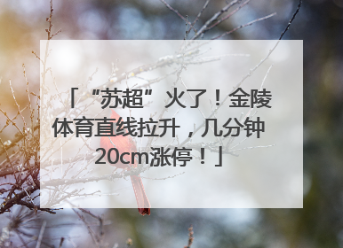 “苏超”火了！金陵体育直线拉升，几分钟20cm涨停！