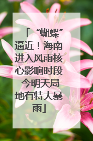 “蝴蝶”逼近！海南进入风雨核心影响时段 今明天局地有特大暴雨