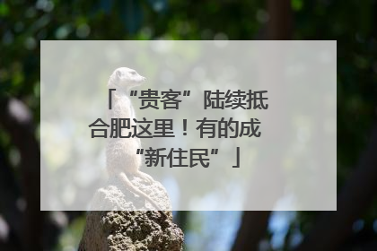 “贵客”陆续抵合肥这里！有的成“新住民”