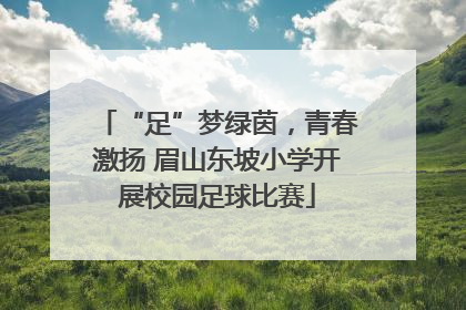 “足”梦绿茵，青春激扬 眉山东坡小学开展校园足球比赛