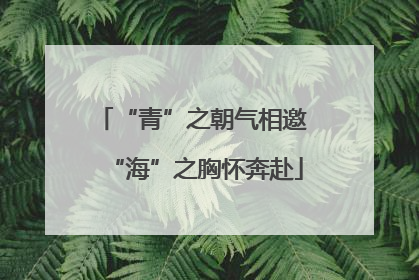 “青”之朝气相邀 “海”之胸怀奔赴
