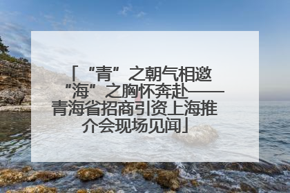 “青”之朝气相邀 “海”之胸怀奔赴——青海省招商引资上海推介会现场见闻