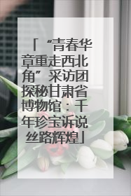 “青春华章重走西北角”采访团探秘甘肃省博物馆：千年珍宝诉说丝路辉煌