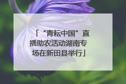 “青耘中国”直播助农活动湖南专场在新田县举行