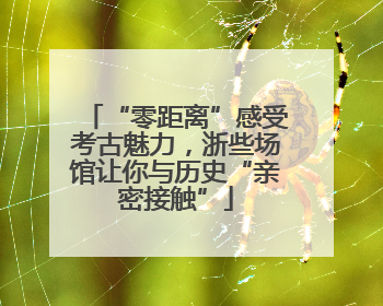 “零距离”感受考古魅力，浙些场馆让你与历史“亲密接触”