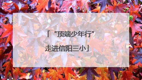 “顶端少年行”走进信阳三小