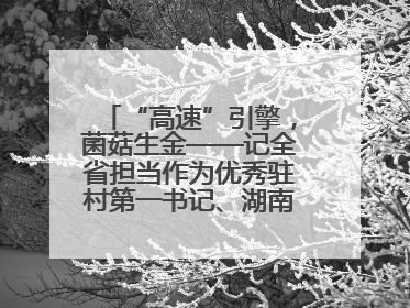 “高速”引擎，菌菇生金——记全省担当作为优秀驻村第一书记、湖南高速集团肖兴旺