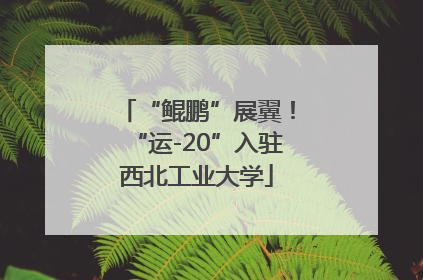 “鲲鹏”展翼!“运-20”入驻西北工业大学