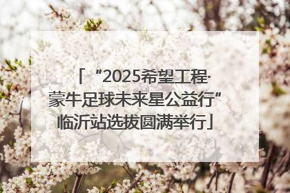 “2025希望工程·蒙牛足球未来星公益行”临沂站选拔圆满举行